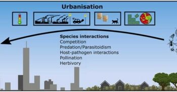 Urbanization on Pest Populations and Control