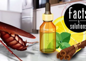 natural remedies for pest control, essential oils and herbal solutions.
