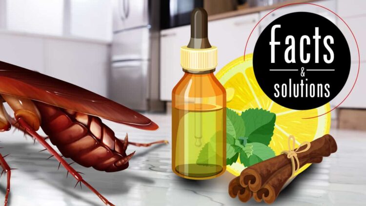 natural remedies for pest control, essential oils and herbal solutions.